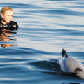 A tourist swimming with a Hector’s Dolphin on a Black Cat Cruises tour.