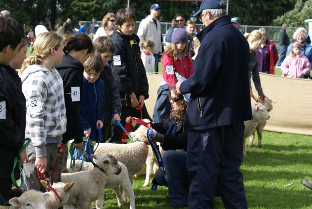 Calf Club Days