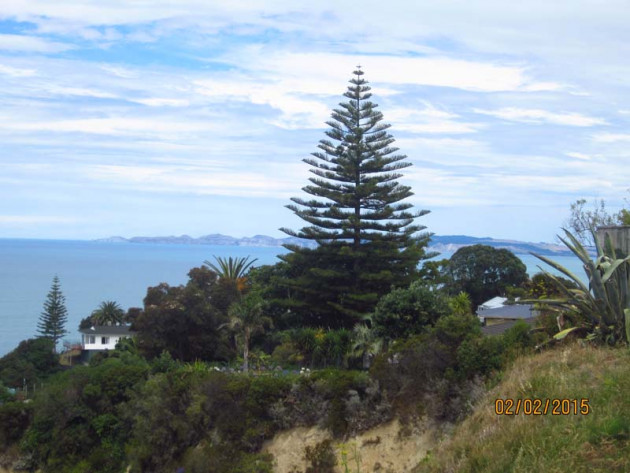 Driving up from Wellington to Napier