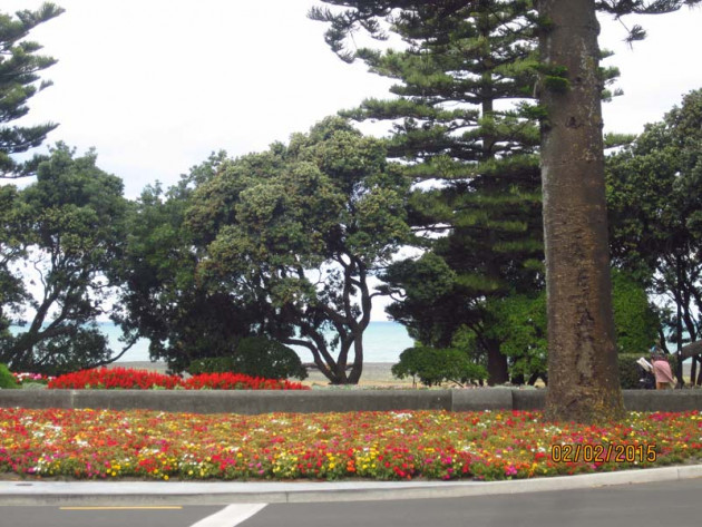 Driving up from Wellington to Napier