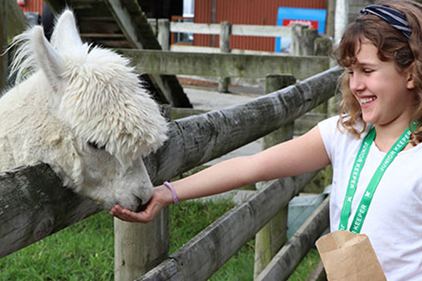 Smiling girl getting up close and personal feeding the animals. 