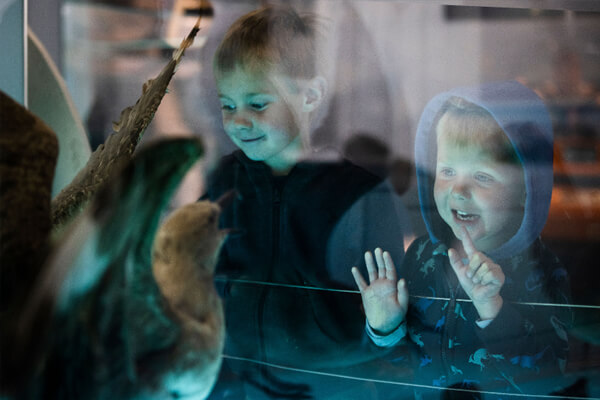 2 kids watching penguins coming up close.