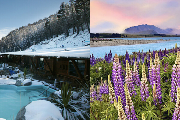 Lake Tekapo 4 Tekapo Springs ice rink in winter and lupins along the shore in summer.