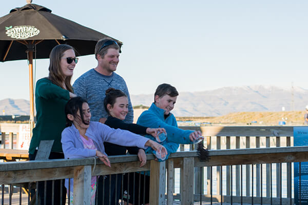 Family feeding salmon at High Country Salmon Farm.