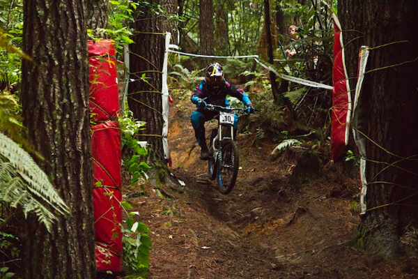 The Redwoods Mountain biking through the redwoods forrest.
