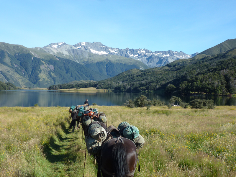 Canterbury horse trek