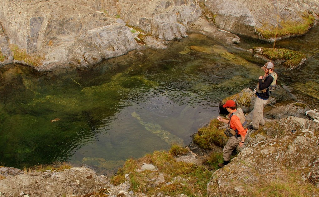 Catching brown trout