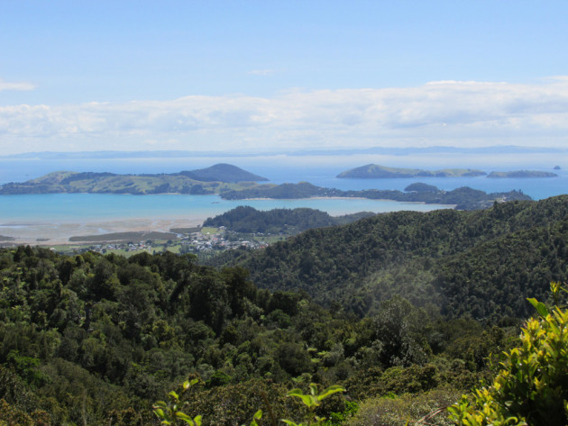 Coromandel1