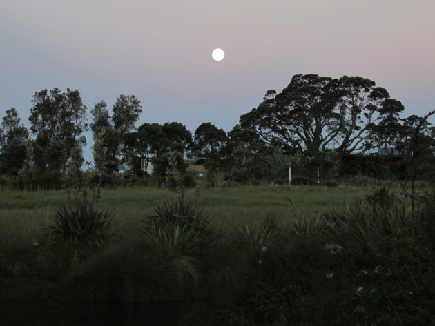 Coromandel2