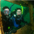 Dive Bay of Islands Copy