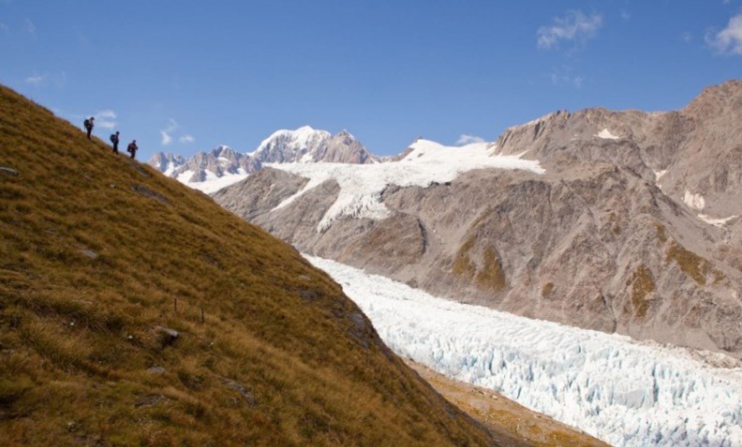Fox Glacier