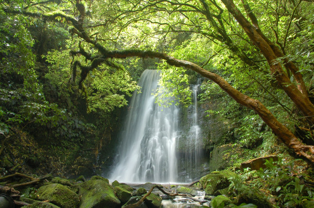 McLean Falls in the Catlins3