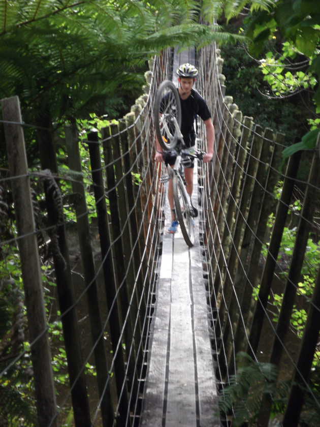 Motu Trails bridge crossing