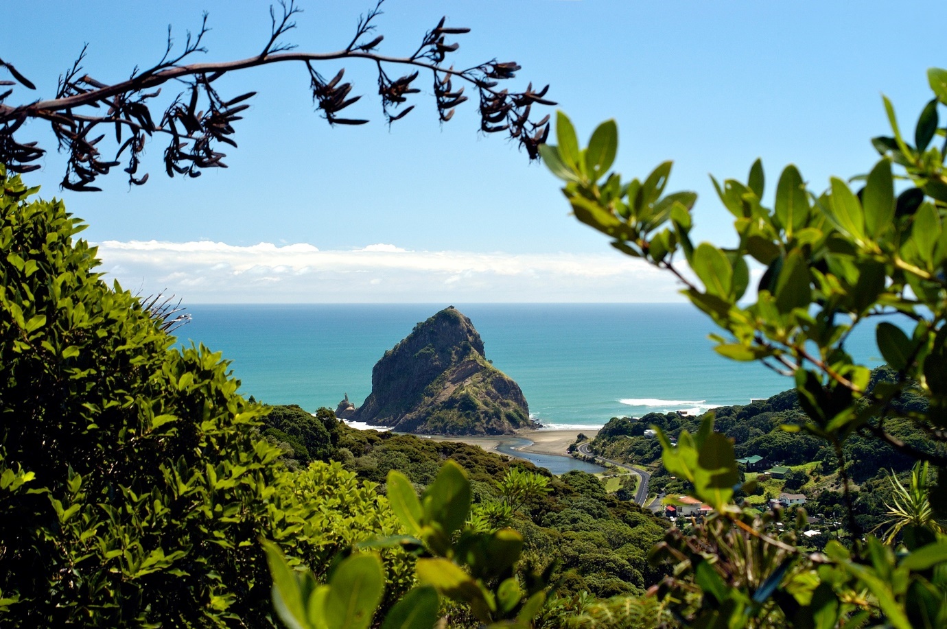 Piha Beach