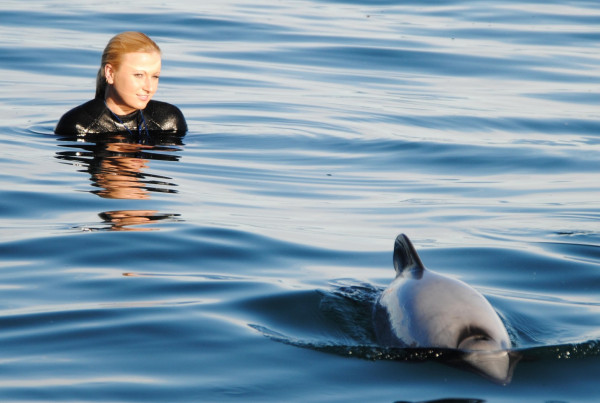 Swimming with a Hector’s Dolphin on a Black Cat Cruises’ tour.