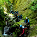 A group of tourists canyoning on a mossy slope in Queenstown.