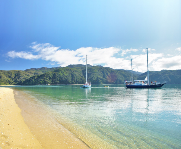 Cruise around Nelson with a private yacht from Gourmet Sailing.