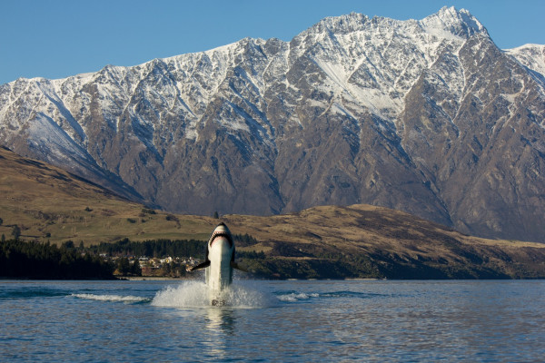 Departing Queenstown Bay, Hydro Attack offers an unforgettable way to experience Lake Wakatipu.