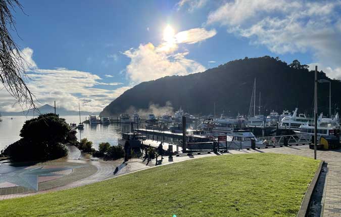 View of Picton Harbour with steam rising.