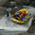 Group of tourists white-water rafting down a rushing waterfall in Rotorua.