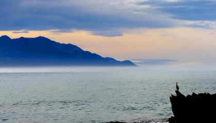 kaikoura seascape bernard spragg