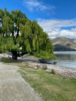 queenstown tree