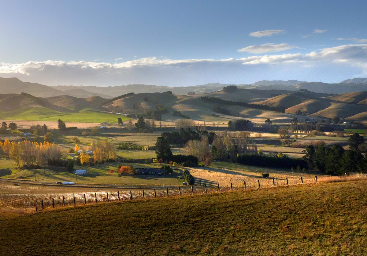 waipara rural bernard spragg waipara rural bernard spragg