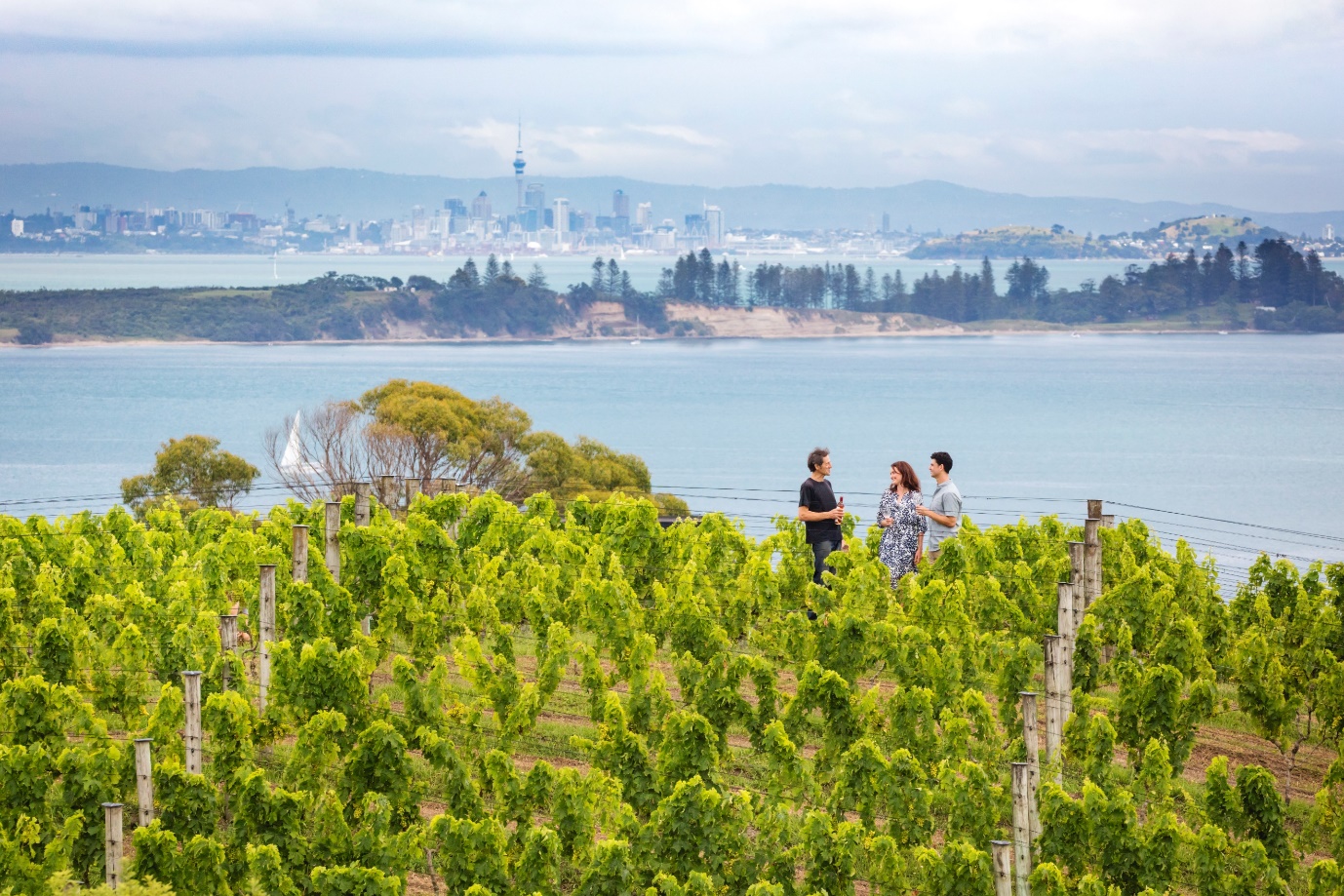 Waiheke Island