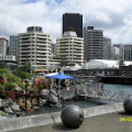 Wellington Waterfront